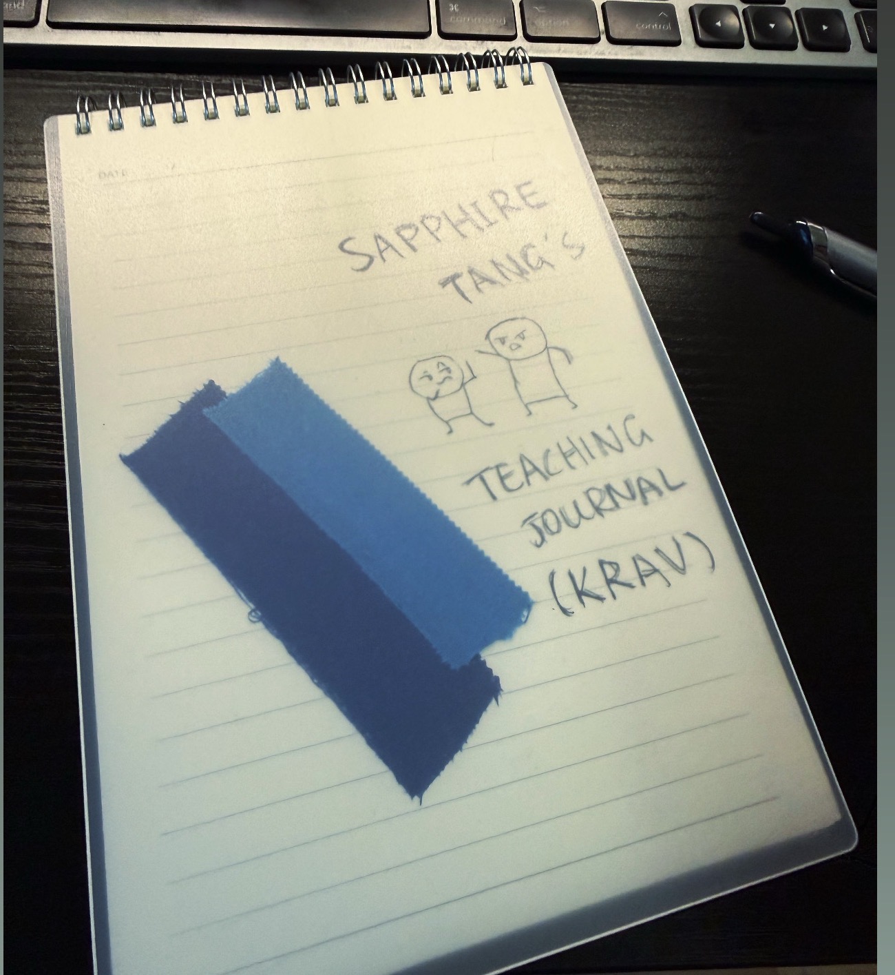 Sapphire's Krav Maga teaching journal